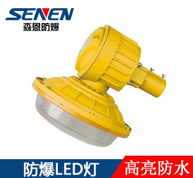 防爆灯 防爆灯
