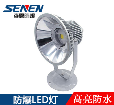 LED防爆投光灯 LED防爆投光灯