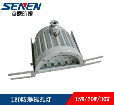 BSD反应釜LED防爆观察灯led防爆视孔灯Led视镜灯10W/20W /30W  