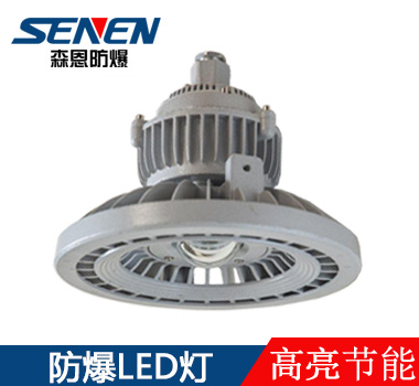 BSX86-T高亮led防爆投光灯 BSX86-T高亮led防爆投光灯