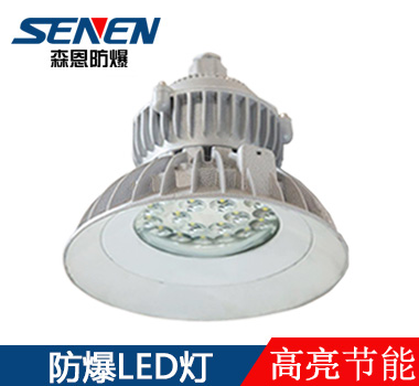 BSX86-T防爆led投光灯100W