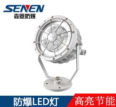 LED防爆投光灯100W