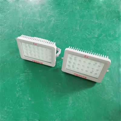 BSX86-C防爆LED灯50W