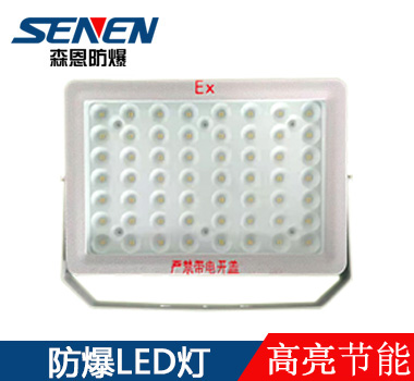 BSX86-C防爆LED灯100W